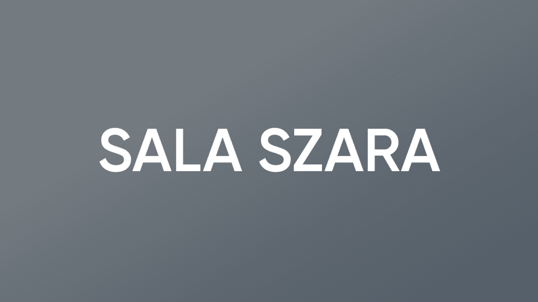 Miniatura do streamu SALA SZARA